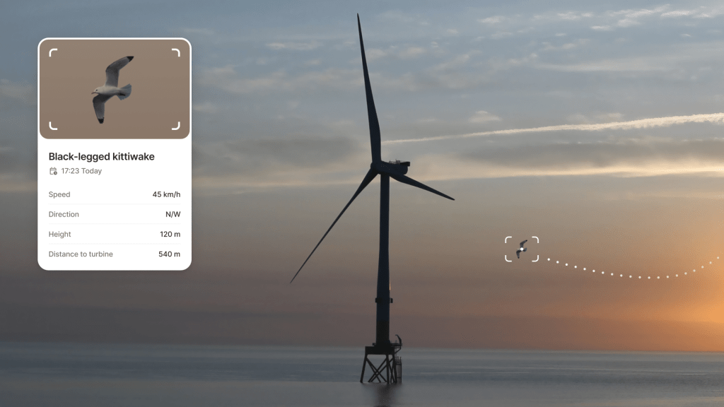 Spoor sử dụng AI để cứu chim khỏi turbine gió